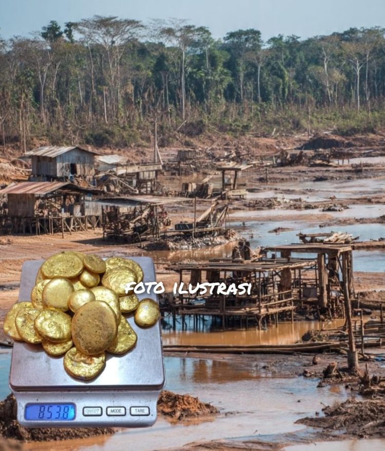 Diduga (AG) Koordinator PETI Sekaligus Bos Penampung Emas Ilegal di Semaong Sekadau Tak Tersentuh Hukum, Warga Minta Kapolda Kalbar Yang Baru Usut Tuntas