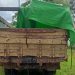 Polres Melawi Telah Amankan Satu Buah Truk Bermuatan Kayu Ulin Ilegal, Pemilik Salah Satu Warga Dari Kalteng