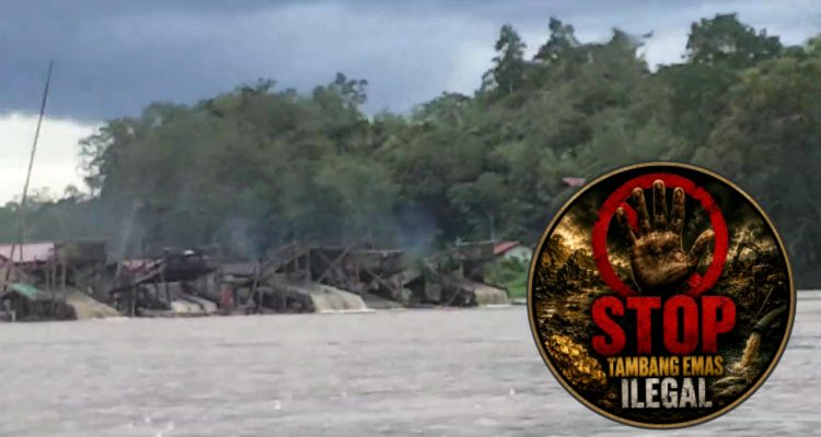 Aktivitas PETI Semakin Menggila dan Membabi Buta di Sepanjang Daerah Aliran Sungai (DAS) Semitau Hilir, Dugaan Kuat Ada Pembiaran Aparat Setempat