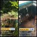 MIRIS!! Tempat Bak Penampungan Air Wisata Nyurong di Dusun Meragun Nanga Taman Diduga Tak Terawat