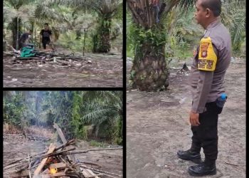 Kapolsek Belitang Hilir Beserta Personil Bongkar Arena Sabung Ayam di Dusun Beruduk, Respons Cepat Aduan Warga dan Media Sosial