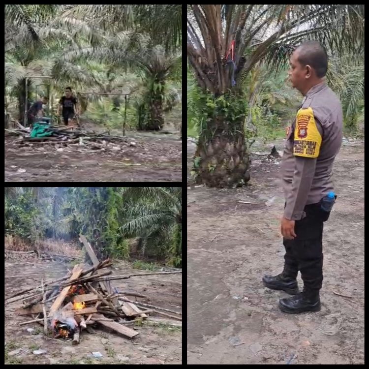 Kapolsek Belitang Hilir Beserta Personil Bongkar Arena Sabung Ayam di Dusun Beruduk, Respons Cepat Aduan Warga dan Media Sosial
