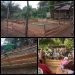 Terindikasi Kebal Hukum!! Arena Sabung Ayam di Belitang Hilir Kembali Beroperasi, Warga Mendesak APH Tindak Tegas
