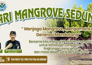 Sambut Hari Mangrove Sedunia, AMPHIBI Giat Penanaman 500 Pohon Mangrove
