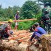 Kejar Target, Satgas TMMD Regtas Ke-129 Kodim 1206/Putussibau Segera Rampungkan Pembangunan Jembatan di Dusun Pala Pintas Temberu