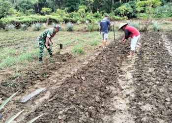 Dekat Dengan Rakyat, Serma Ukzan Ely Bantu Warga Tanam Kacang Panjang di Desa Sepandan