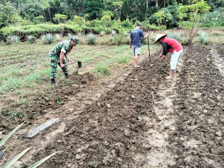 Dekat Dengan Rakyat, Serma Ukzan Ely Bantu Warga Tanam Kacang Panjang di Desa Sepandan