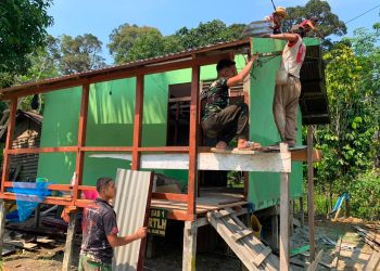 Atap Terpasang, Harapan Baru Terpancar: Satgas TMMD Ke-129 Bangun Hunian Layak untuk Ibu Marsiana