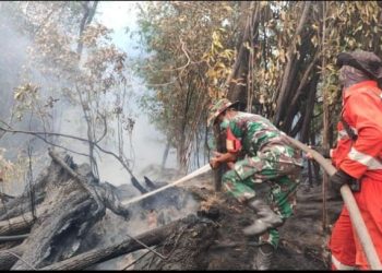 Aksi Nyata Cegah Karhutla, Babinsa Koramil 1206-09/Jongkong Bersama Polsek dan BPBD Padamkan Api di Pengkadan