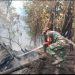 Aksi Nyata Cegah Karhutla, Babinsa Koramil 1206-09/Jongkong Bersama Polsek dan BPBD Padamkan Api di Pengkadan