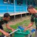 Finishing Sumur Bor TMMD Regtas Ke-129 Kodim 1206/Putussibau di SMPN 4 Satap Embaloh Hilir, Wujud Nyata Hadirkan Akses Air Bersih