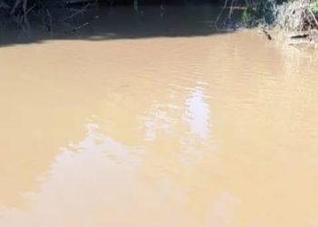 Viral Dimedsos “FB” Warga Belitang Hulu Kabupaten Sekadau Keluhkan Air Sungai Tercemar Diduga Akibat Aktivitas PETI, Kapolsek Belitang Hulu, Hanya Komentar Liar Netizen
