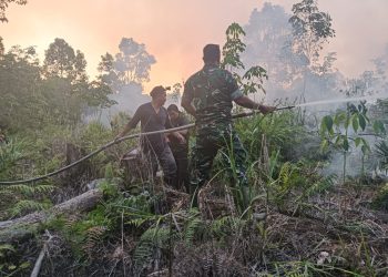 Sigap Cegah Karhutla, Danramil 1206-13/Bunut Hulu Turun Langsung Bersama BPBD Padamkan Api di Wilayah Binaan Kecamatan Mentebah