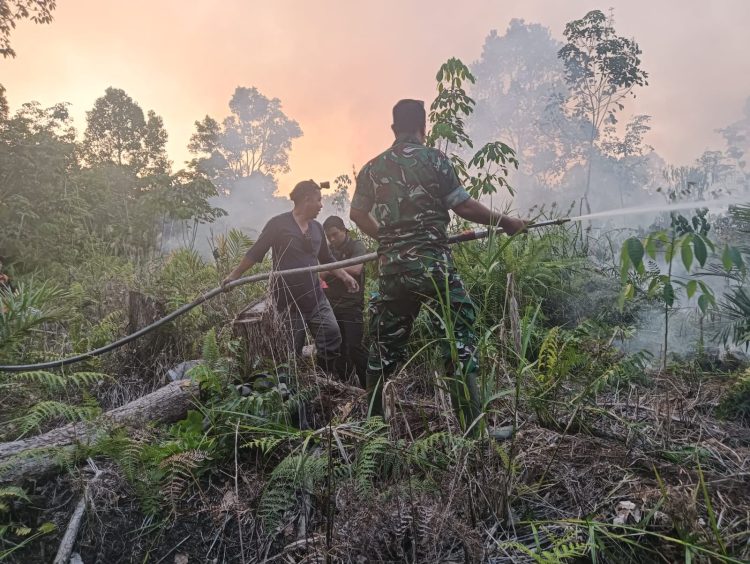 Sigap Cegah Karhutla, Danramil 1206-13/Bunut Hulu Turun Langsung Bersama BPBD Padamkan Api di Wilayah Binaan Kecamatan Mentebah