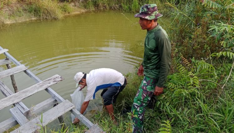 Perkuat Ketahanan Pangan Lokal, Satgas TMMD ke-129 Kodim 1206/Putussibau Bagikan Bibit Ikan ke Warga
