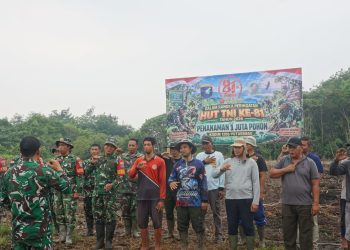 Pelestarian Lingkungan, Kodim 1206/Putussibau Tanam Sejuta Pohon di Lahan Karhutla