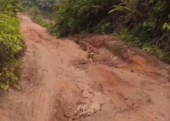 Warga Keluhkan Jalan Rusak Parah antara Desa Sekubang dan Desa Libau, Minta Perhatian Pemda
