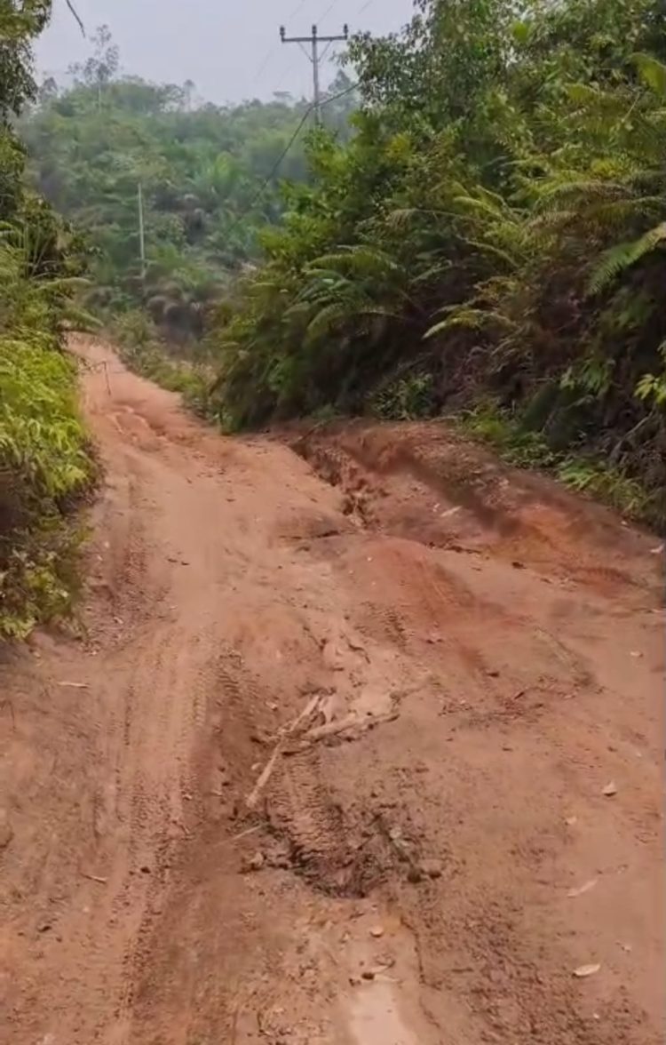 Warga Keluhkan Jalan Rusak Parah antara Desa Sekubang dan Desa Libau, Minta Perhatian Pemda