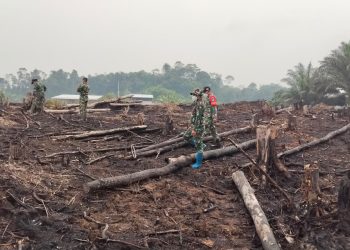 Cegah Karhutla, Koramil 18/Puring Kencana Gencarkan Patroli di Wilayah Rawan