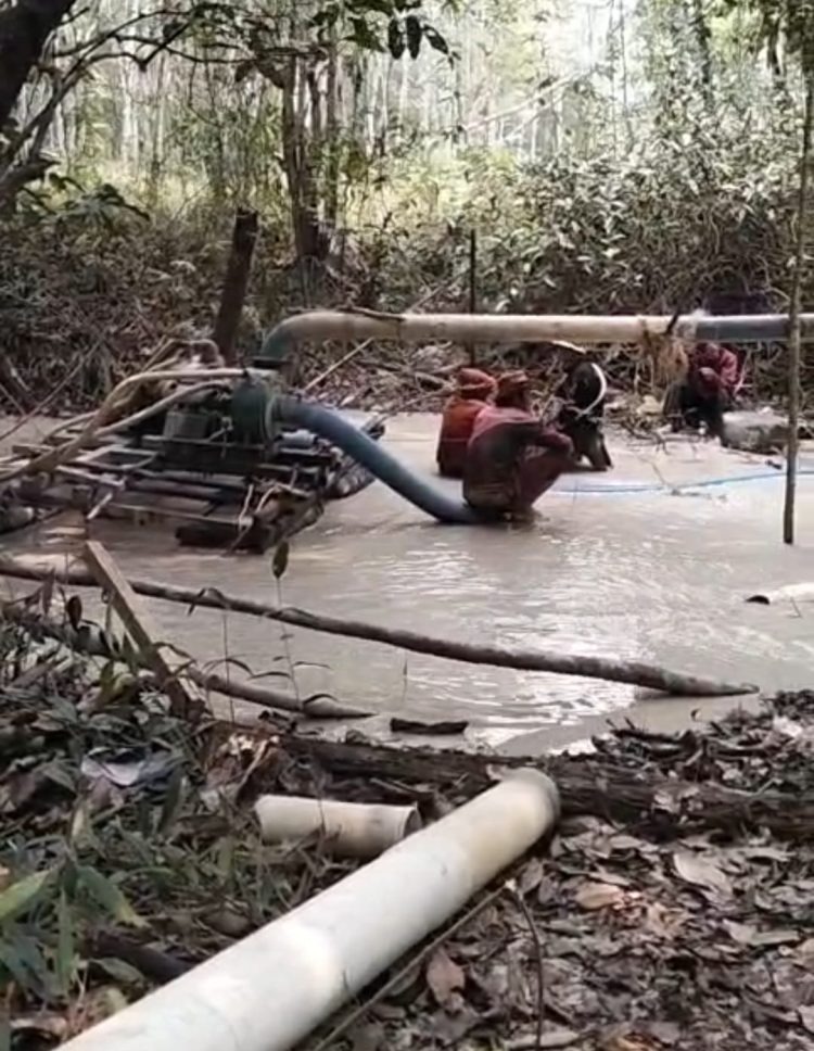 PETI Masih Beroperasi di Sekumpai, Serirang, Sei Kunyit, Sekadau; Tuan Tanah Inisial DY Diduga Kebal Hukum, Warga Minta Kapolres Bertindak Tegas