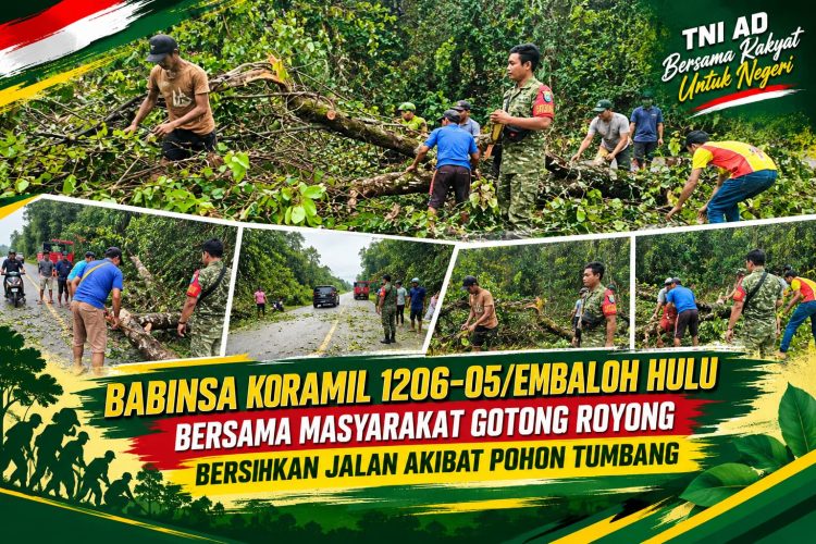 Babinsa Koramil 1206-05/Embaloh Hulu Bersama Masyarakat Gotong Royong Bersihkan Jalan Akibat Pohon Tumbang