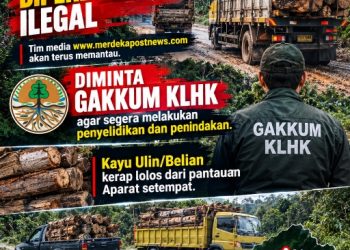 Marak Peredaran Kayu Ulin dari Melawi ke Kapuas Hulu, Kerap Lolos dari Pantauan Aparat, Warga Minta Gakkum KLHK Usut Tuntas