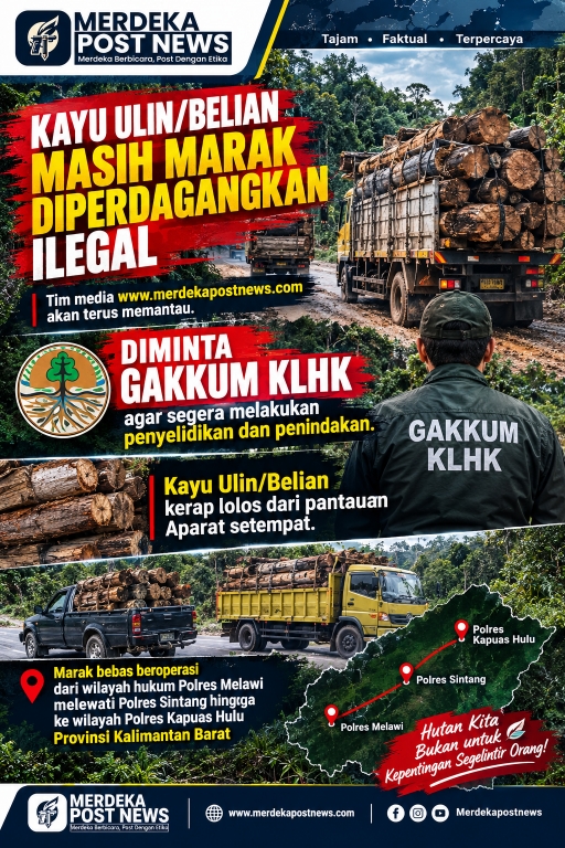 Marak Peredaran Kayu Ulin dari Melawi ke Kapuas Hulu, Kerap Lolos dari Pantauan Aparat, Warga Minta Gakkum KLHK Usut Tuntas